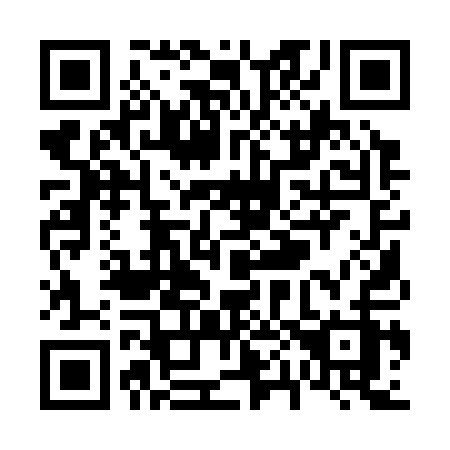 QR code for V01-31Z