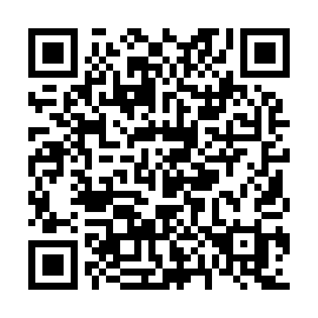 QR code for plate V01-91I