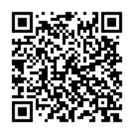 QR code for V0250X