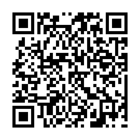 QR code for V0299P