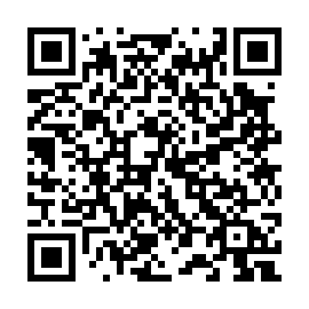 QR code for V0307A