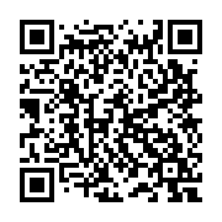 QR code for plate V03-11W