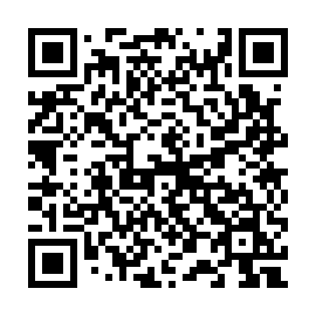 QR code for V0315N