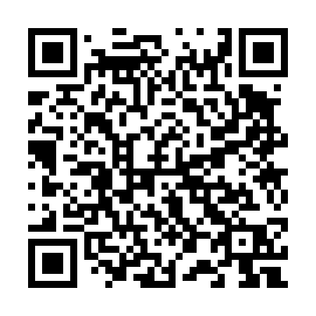 QR code for V0343P