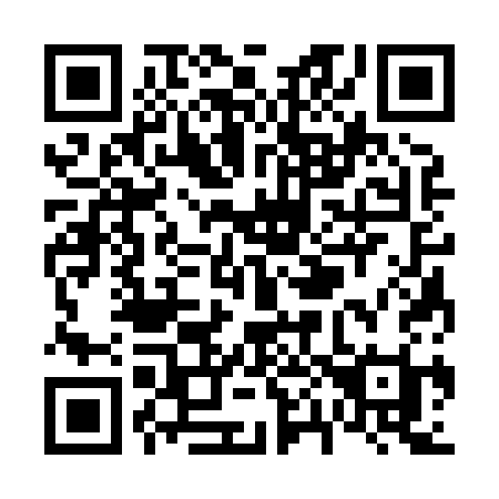 QR code for V0383I