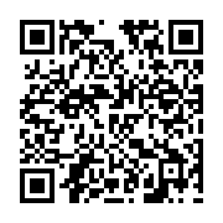 QR code for plate V04-20Y
