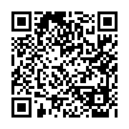 QR code for plate V04-64G