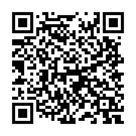 QR code for V0555P
