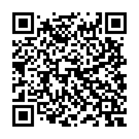 QR code for plate V06-54X