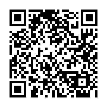 QR code for plate V07-29C