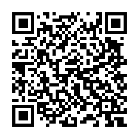 QR code for plate V07-40X