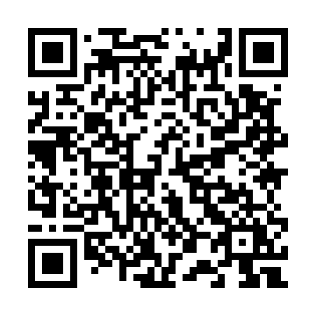 QR code for V0955Y