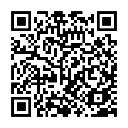 QR code for plate V12-31A