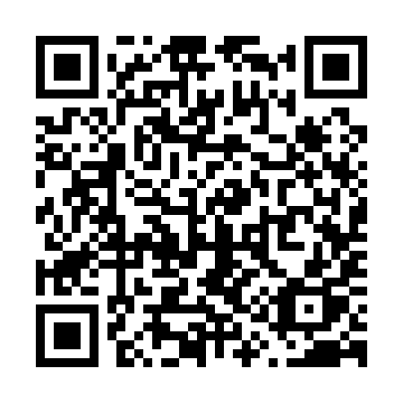 QR code for V13-19P