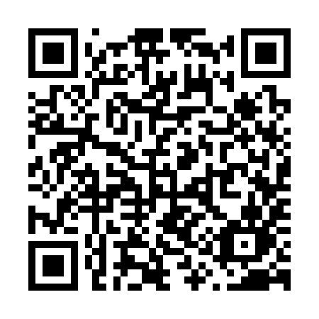 QR code for V13-39N