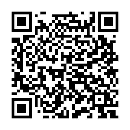 QR code for plate V13-16X