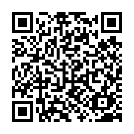 QR code for plate V13-63L