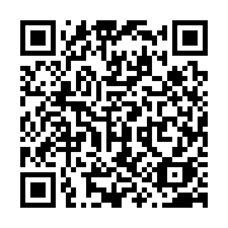 QR code for plate V15-33H