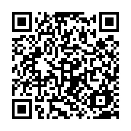 QR code for V1653G