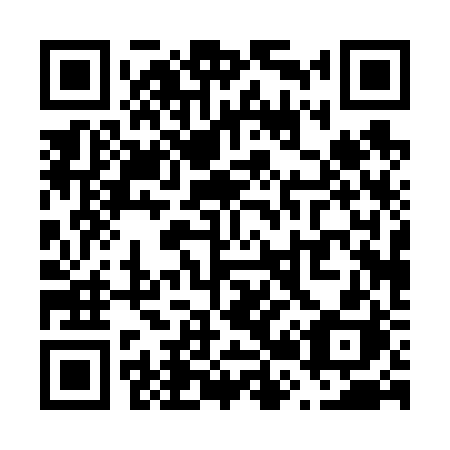 QR code for plate V20-62H
