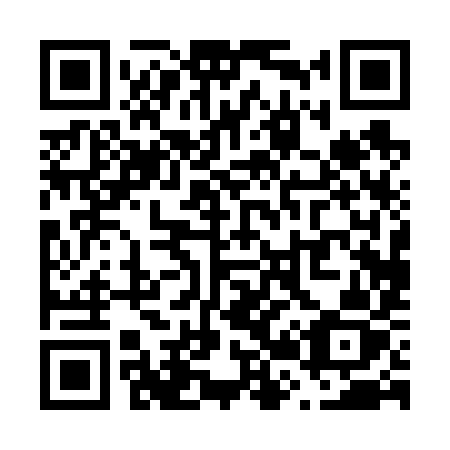 QR code for V2069Z