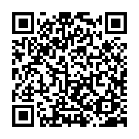 QR code for plate V22-82S