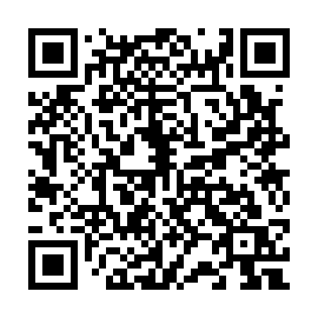 QR code for V2313S