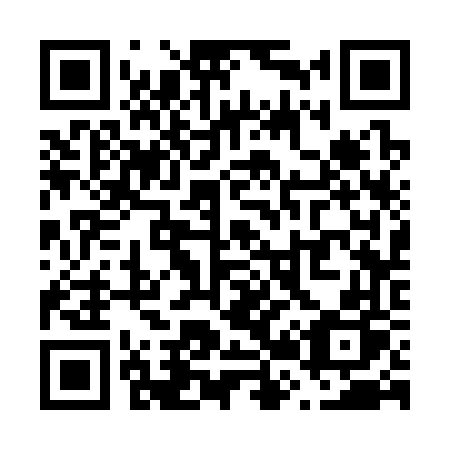 QR code for V2336P