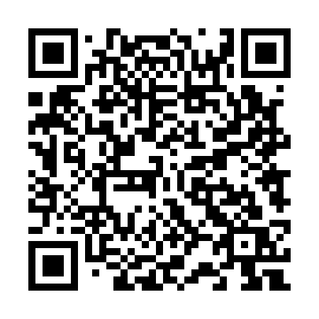 QR code for V2413S