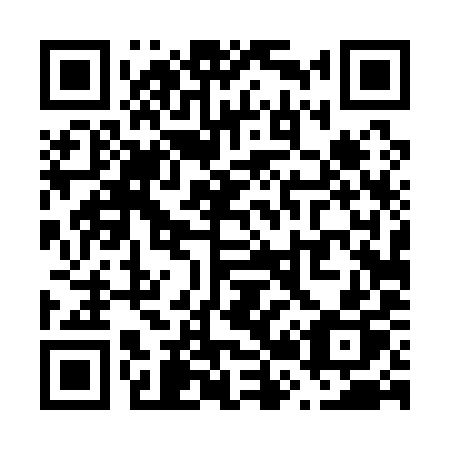 QR code for V2419P