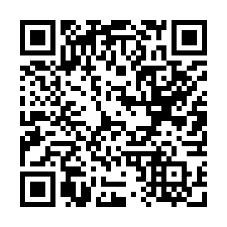 QR code for V2496P