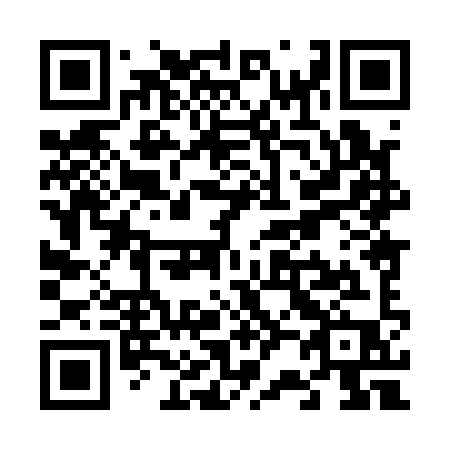 QR code for V28-19P