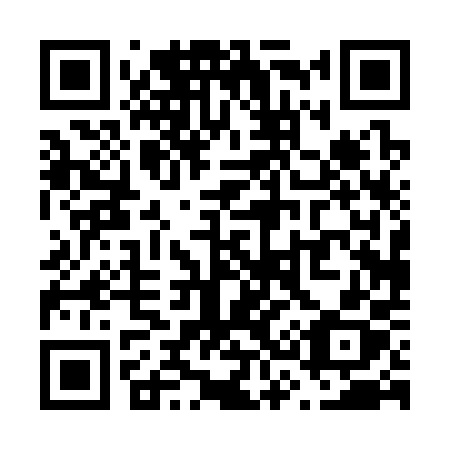 QR code for plate V30-30X