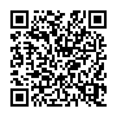 QR code for plate V30-95T