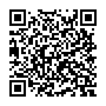 QR code for V3114P