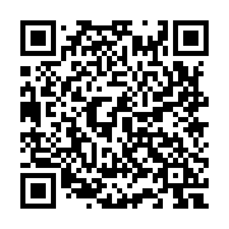 QR code for plate V31-90I