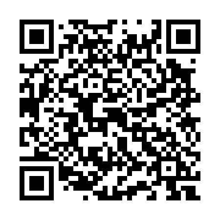 QR code for V3300I