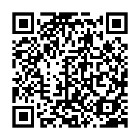 QR code for V38-11I