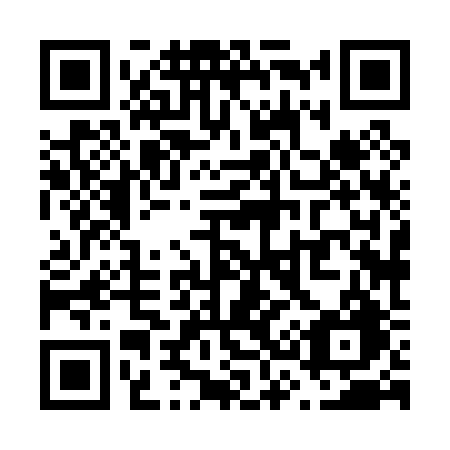 QR code for plate V38-02G