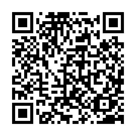 QR code for plate V38-29P