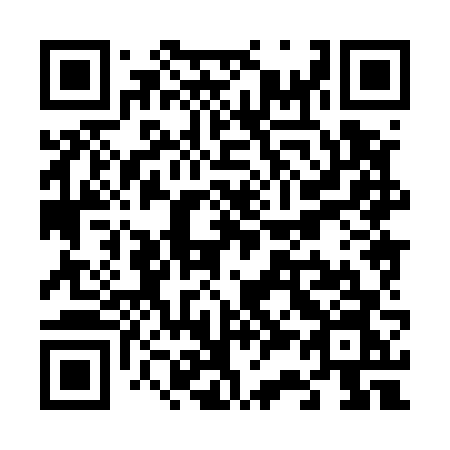 QR code for plate V38-56N