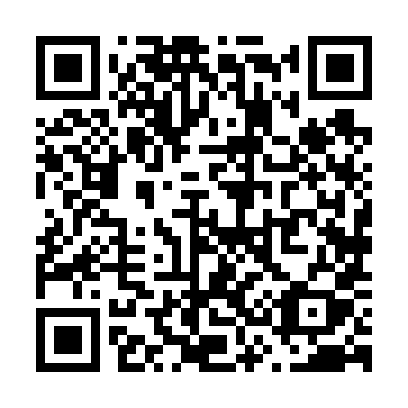 QR code for plate V38-68Y