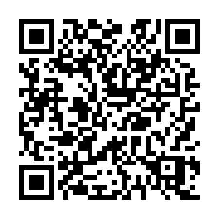 QR code for plate V38-80R