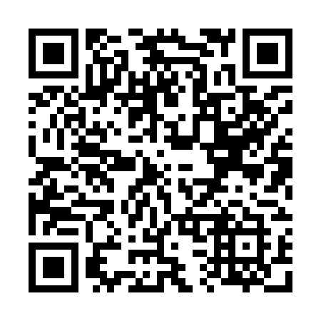 QR code for plate V38-97K