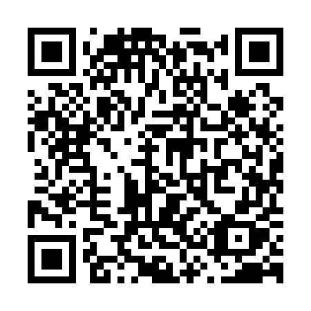 QR code for plate V39-15X