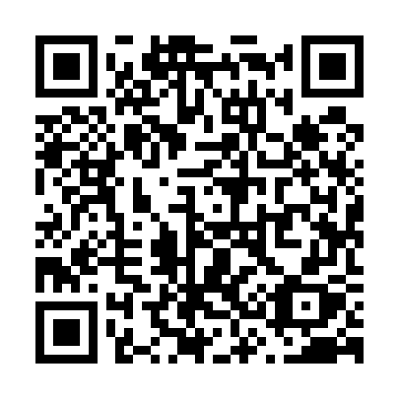 QR code for plate V39-57X
