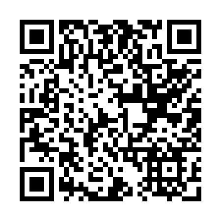 QR code for plate V41-22O