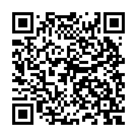 QR code for plate V42-29W