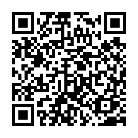 QR code for plate V45-66Q