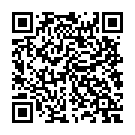 QR code for plate V46-53F